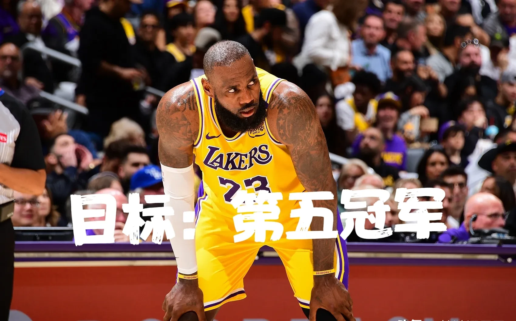 九游体育APP-詹姆斯重返赛场，战术调整首场状态出色，皇家马德里观众沸腾！上演精彩一战的简单介绍